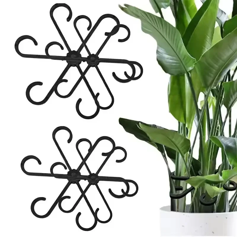 Variegated Monstera Node - Supports de feuilles pour Alocasia et