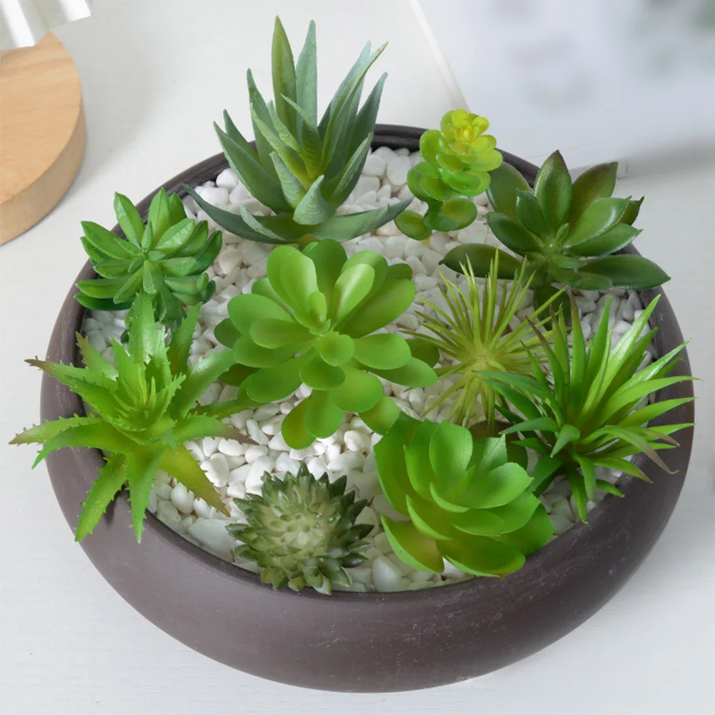 Succulent Arrangement Mini - Charmant arrangement de mini-bonsaïs succulents pour