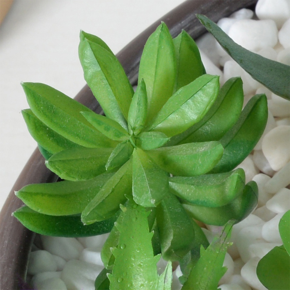 Succulent Arrangement Mini - Arrangement de plantes succulentes artificielles contemporaines