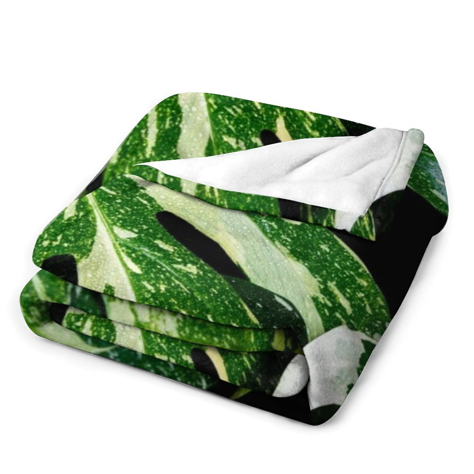 Couverture Monstera Thai Const - Monstera Thai Constellation avis et prix