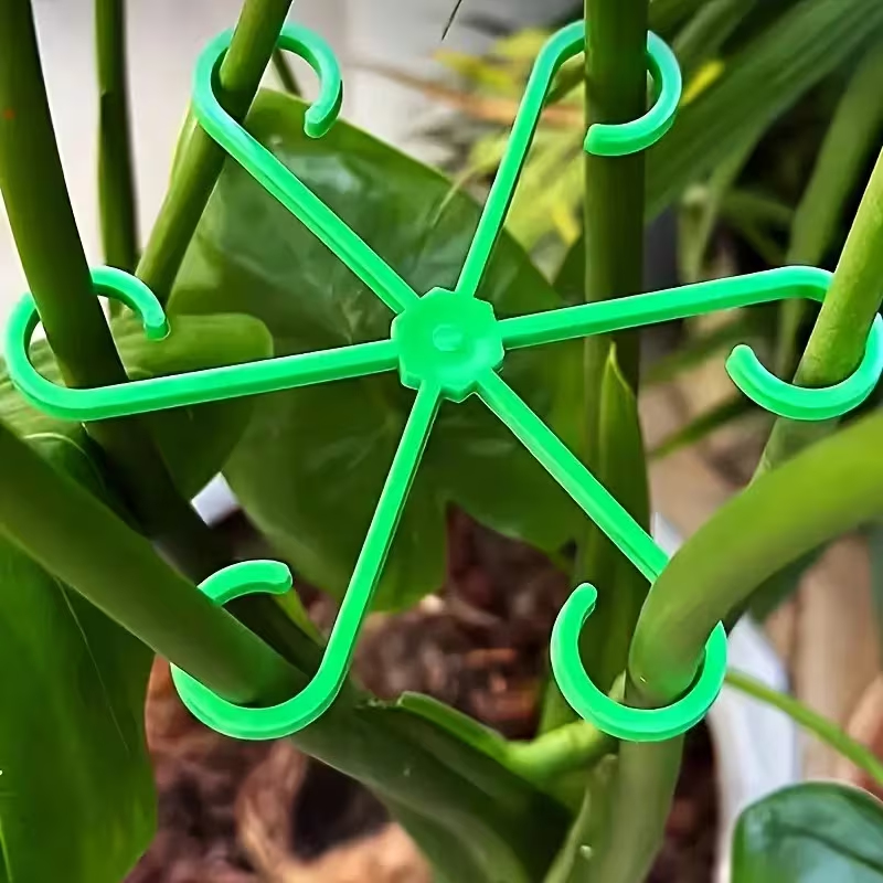Ensemble de 8 supports pour ti - Variegated Monstera Node avis et prix