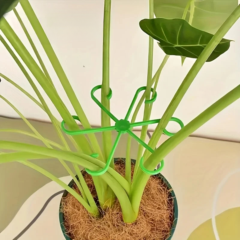 Ensemble de 8 supports pour ti - Variegated Monstera Node avis et prix