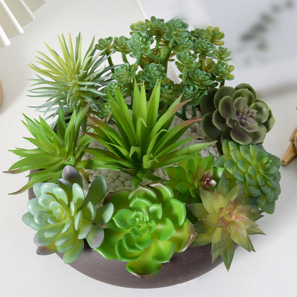 Plante Artificielle pour Mini  - Succulent Arrangement Mini avis et prix