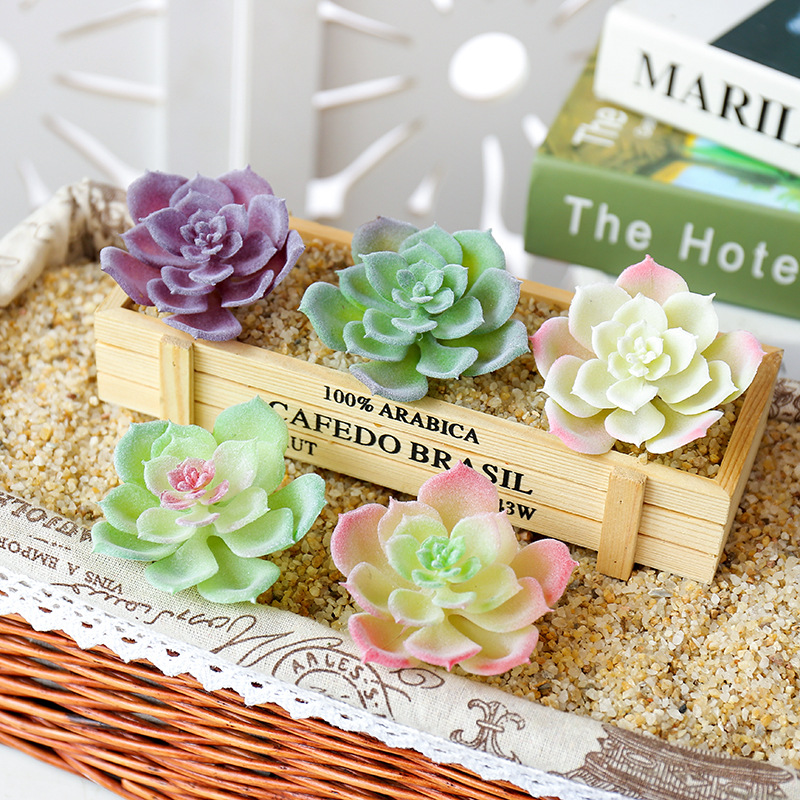 Wusmart – petites plantes succ - Succulent Arrangement Mini avis et prix