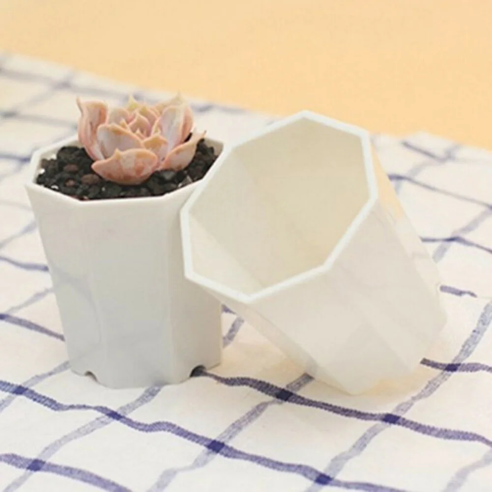 10 pots en plastique pour mini - Succulent Arrangement Mini avis et prix