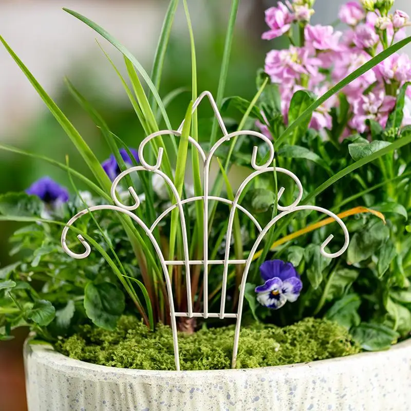 Mini clôture fantaisie en fer  - Succulent Arrangement Mini avis et prix