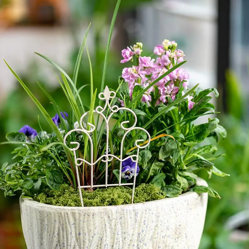 Mini clôture fantaisie en fer  - Succulent Arrangement Mini avis et prix