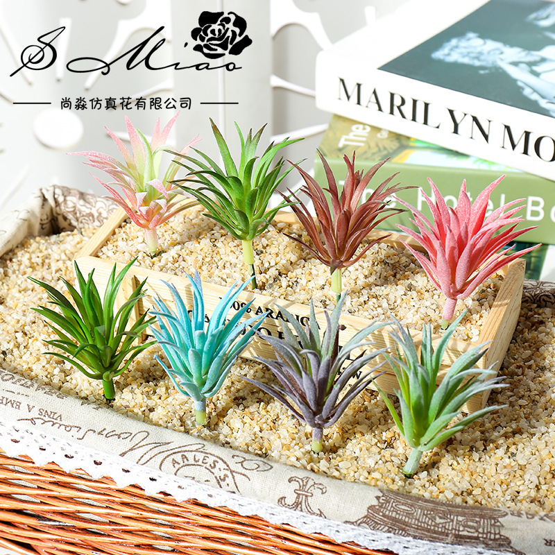 Mini plantes succulentes artif - Succulent Arrangement Mini avis et prix