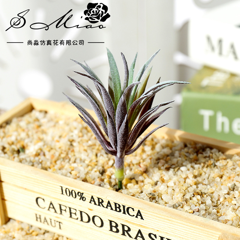Mini plantes succulentes artif - Succulent Arrangement Mini avis et prix