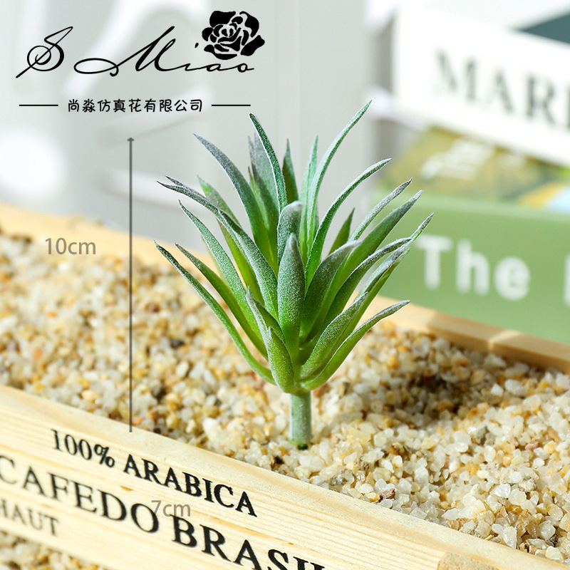 Mini plantes succulentes artif - Succulent Arrangement Mini avis et prix