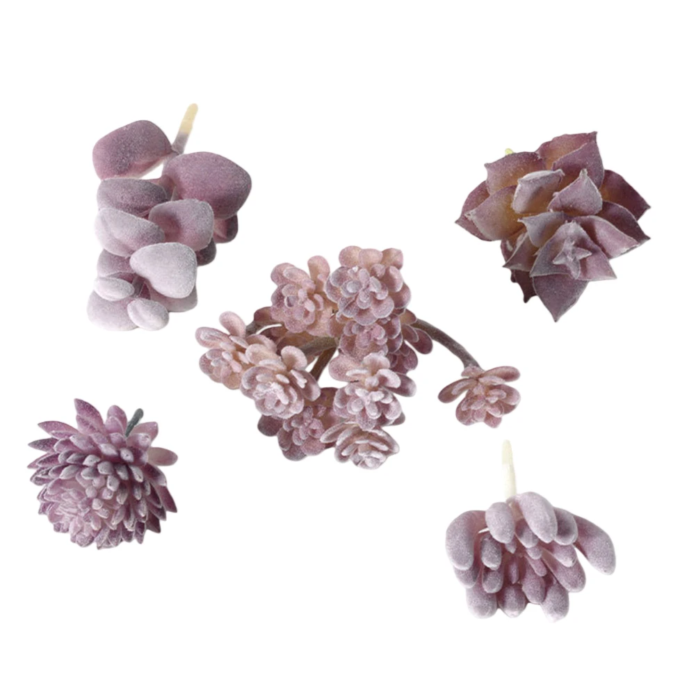 Facile d'entretien pour les ar - Succulent Arrangement Mini avis et prix