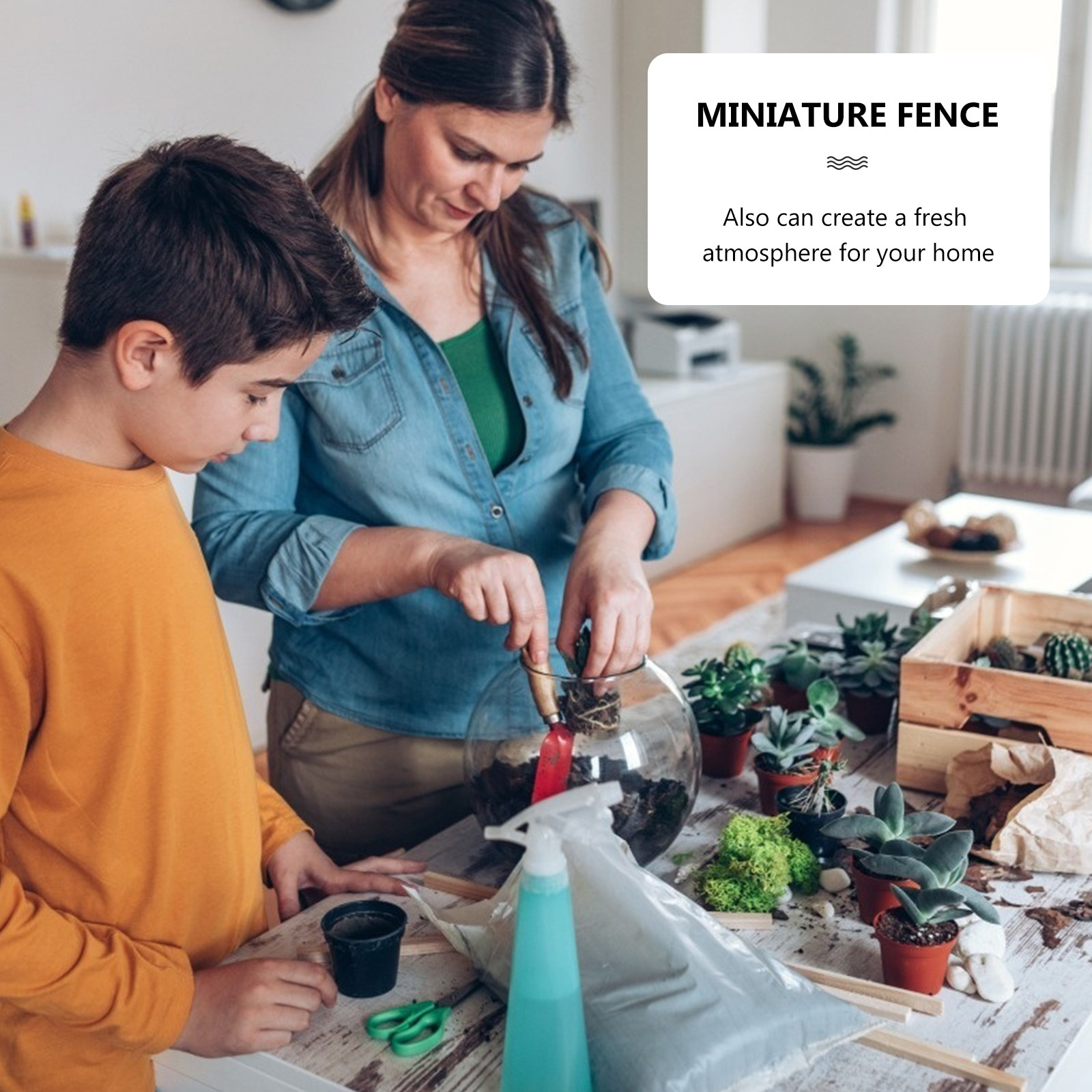 Lot de 12 mini clôtures en boi - Succulent Arrangement Mini avis et prix