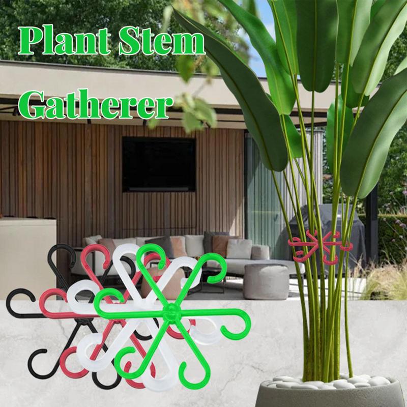 Clips de Support pour plantes  - Variegated Monstera Node avis et prix