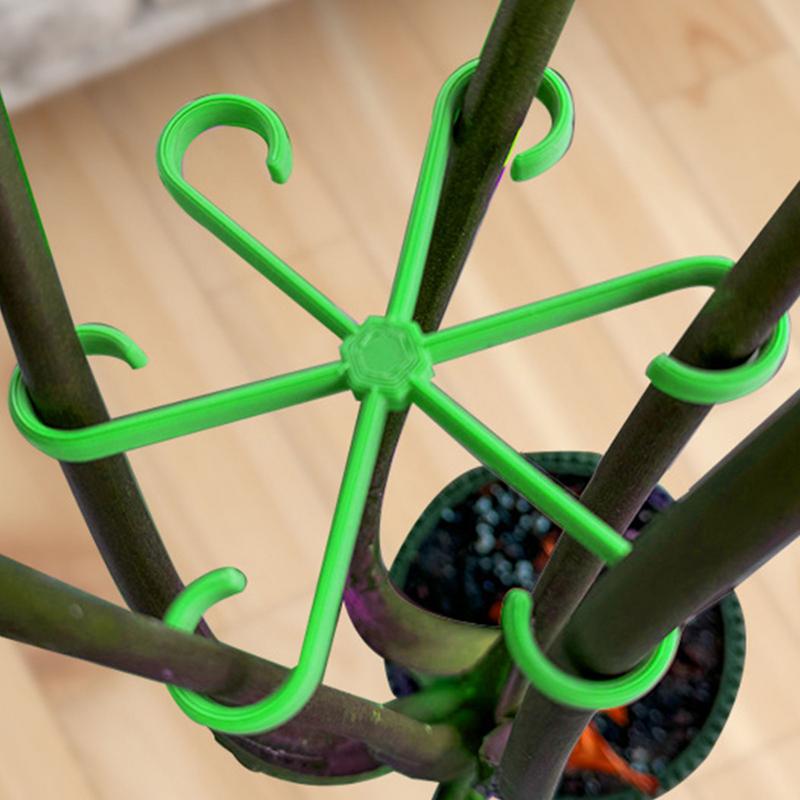Clips de Support pour plantes  - Variegated Monstera Node avis et prix