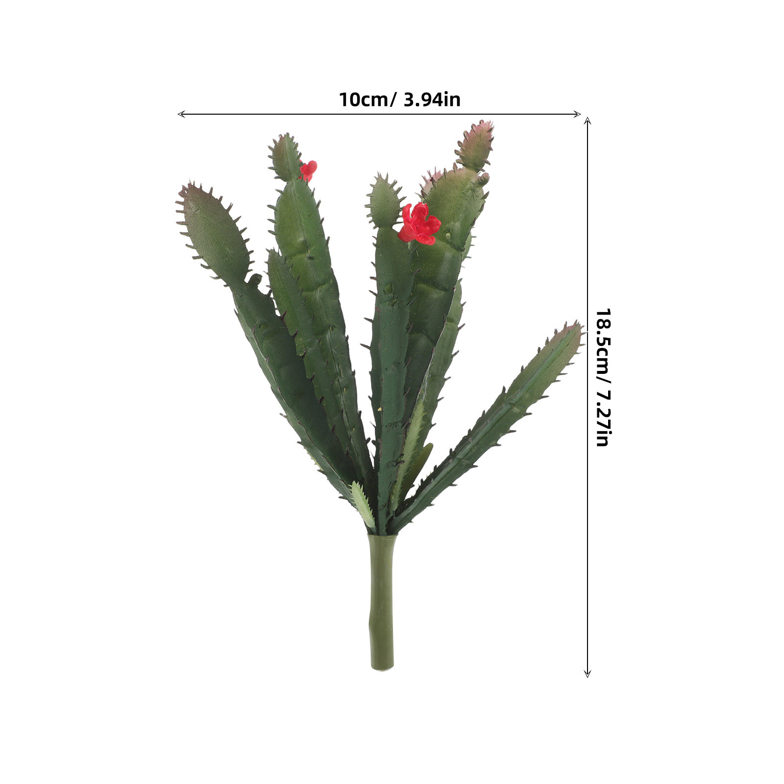 Arrangement de plantes succule - Succulent Arrangement Mini avis et prix