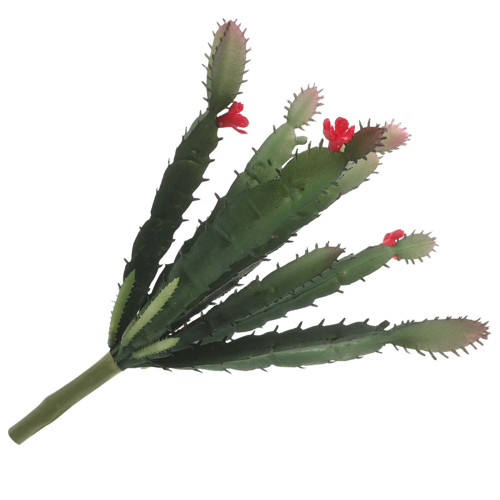 Arrangement de plantes succule - Succulent Arrangement Mini avis et prix