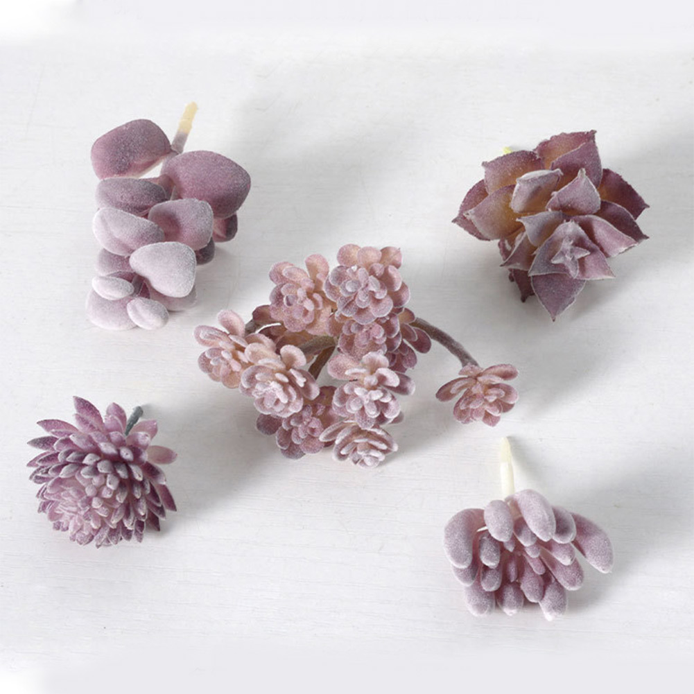 Pot de plante rond avec draina - Succulent Arrangement Mini avis et prix