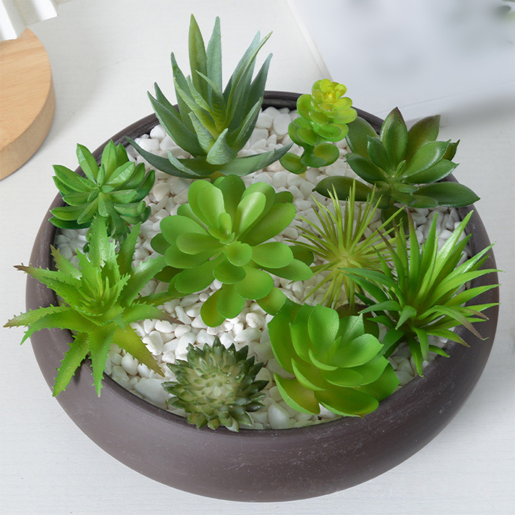 Pot de plante rond avec draina - Succulent Arrangement Mini avis et prix