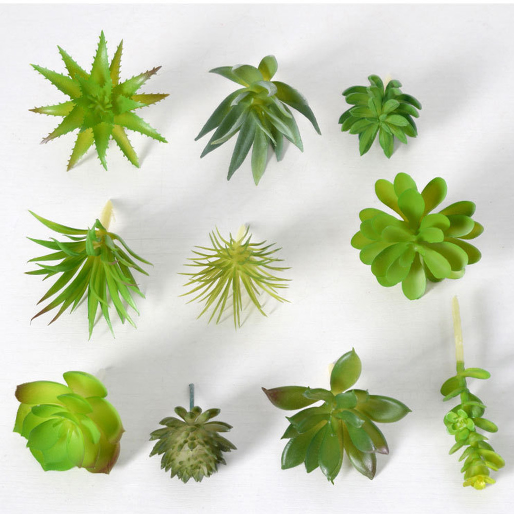 Pot de plante rond avec draina - Succulent Arrangement Mini avis et prix