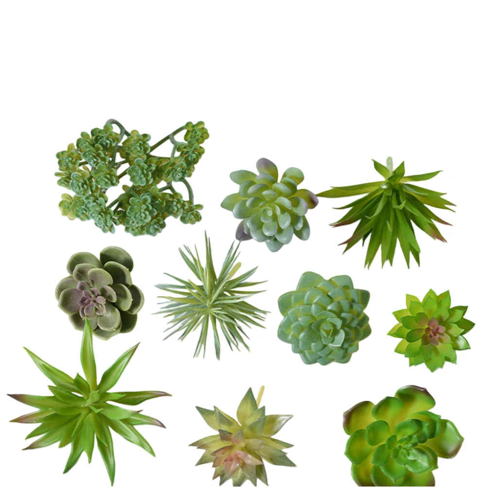 Charmant arrangement de mini-b - Succulent Arrangement Mini avis et prix