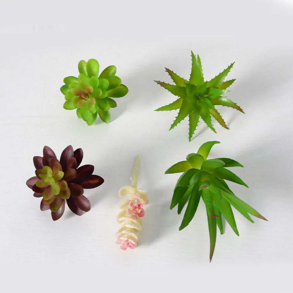 Charmant arrangement de mini-b - Succulent Arrangement Mini avis et prix