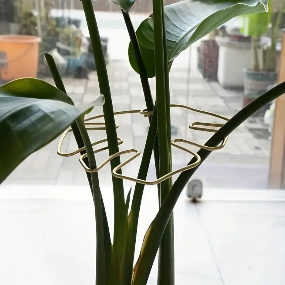 Support de plantes d'intérieur - Variegated Monstera Node avis et prix
