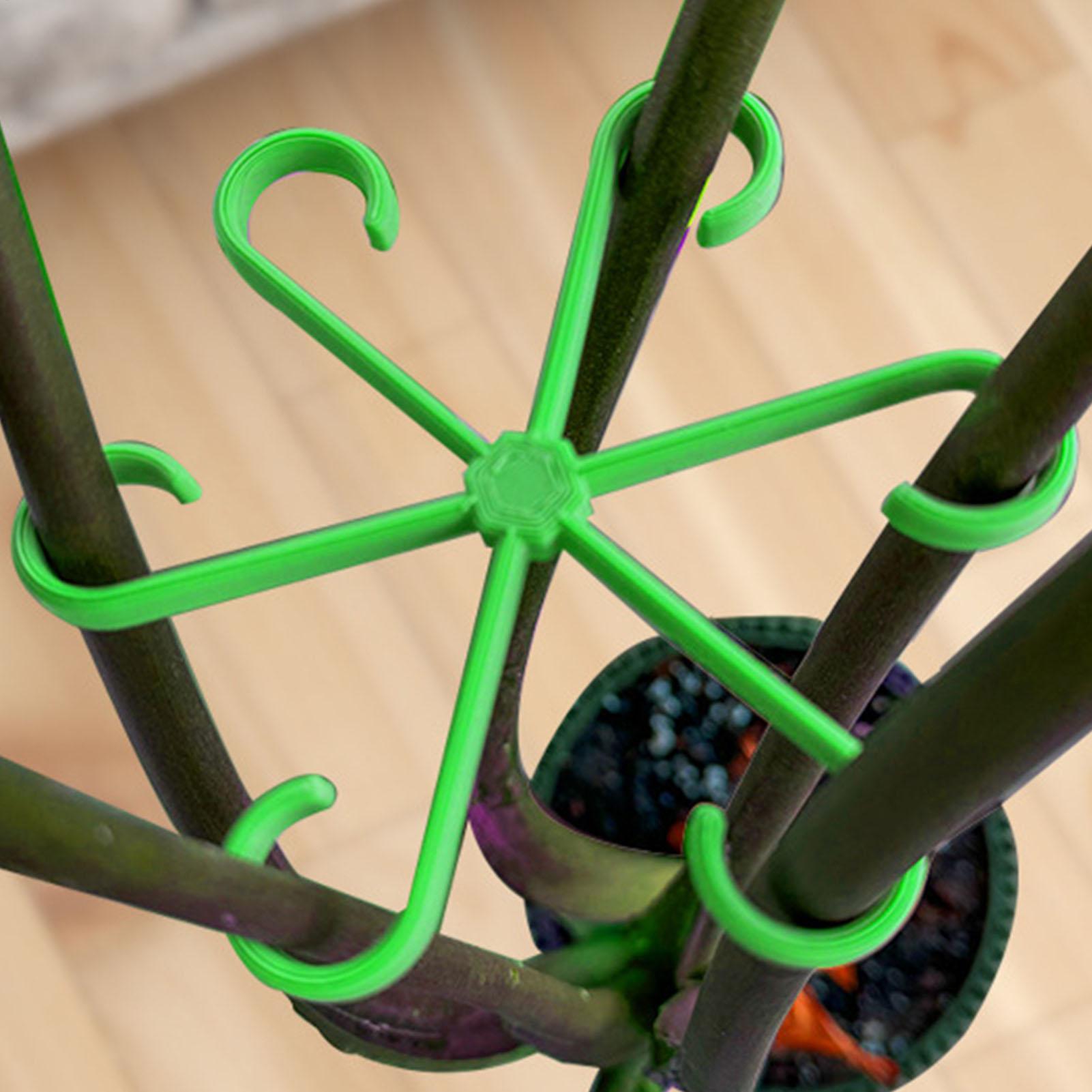 Lot de 4 pinces de support pou - Variegated Monstera Node avis et prix
