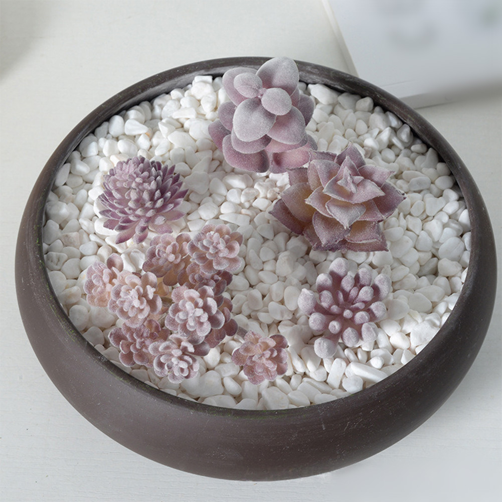 Accessoire de photographie ada - Succulent Arrangement Mini avis et prix