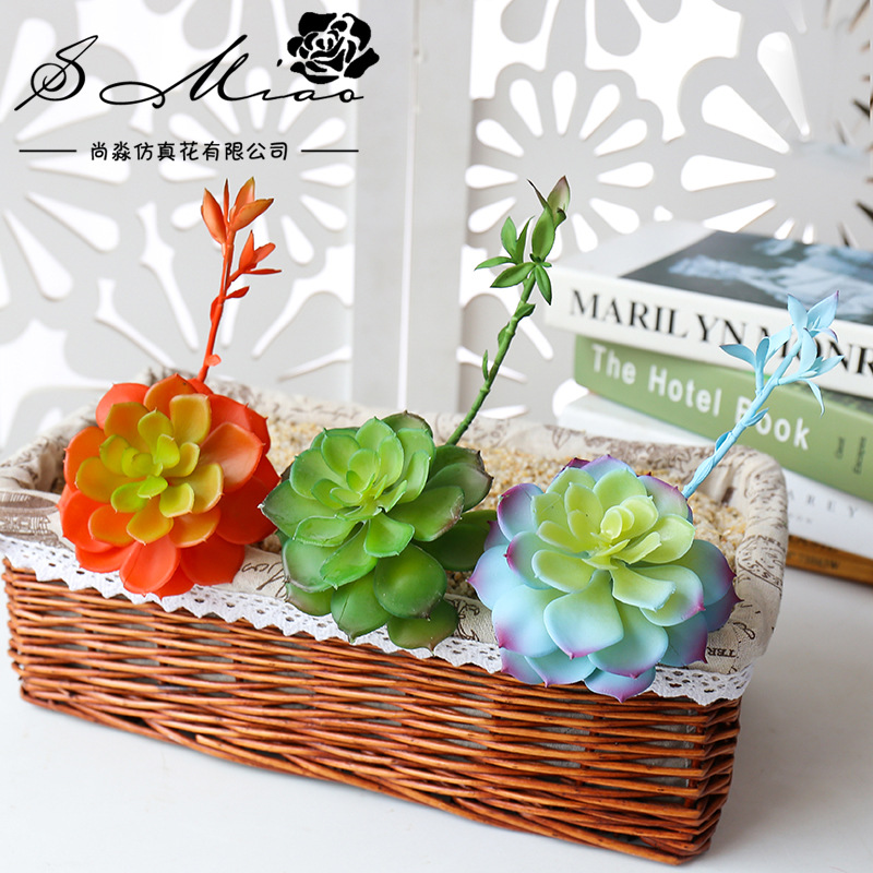 Wusmart-Grandes plantes succul - Succulent Arrangement Mini avis et prix