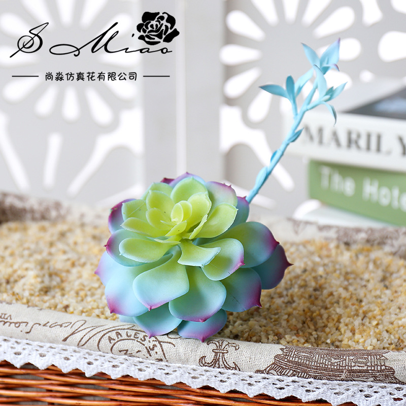 Wusmart-Grandes plantes succul - Succulent Arrangement Mini avis et prix
