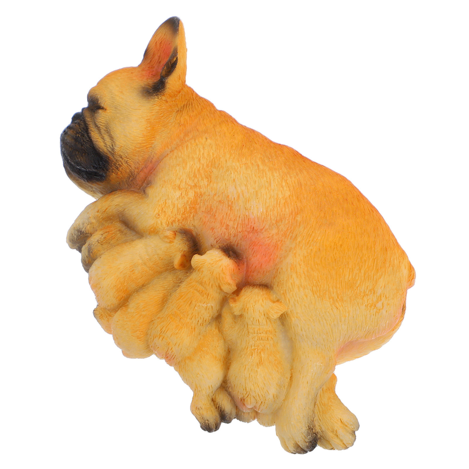 Statuette réaliste de chiot bo - Succulent Arrangement Mini avis et prix