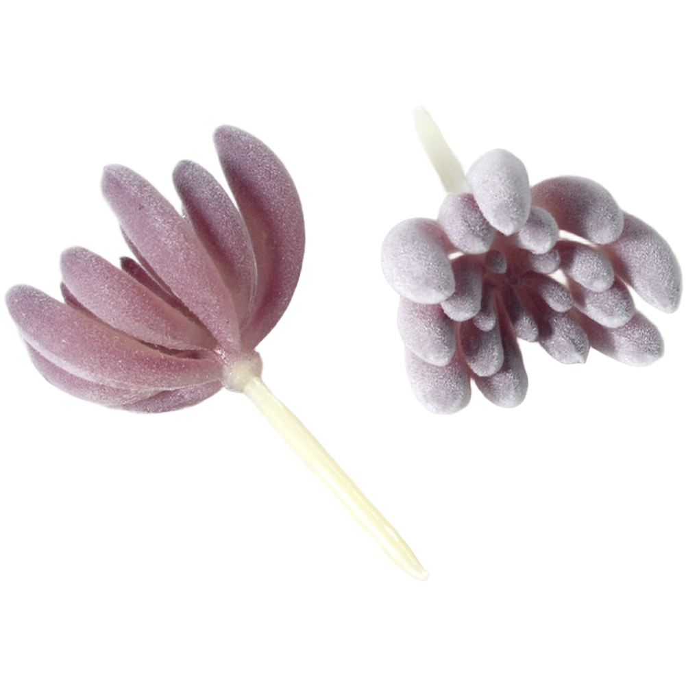 Succulentes artificielles en P - Succulent Arrangement Mini avis et prix