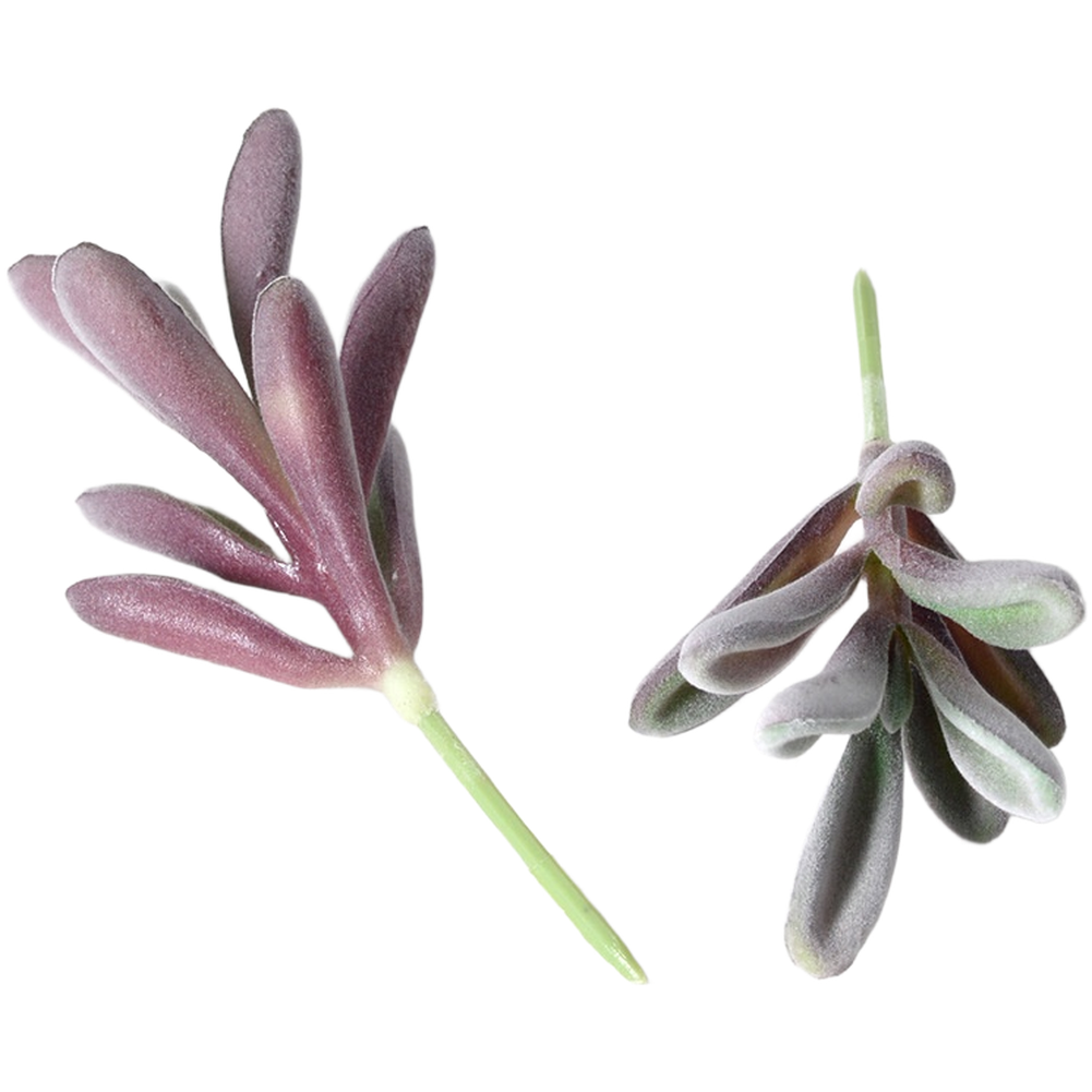 Succulentes artificielles en P - Succulent Arrangement Mini avis et prix